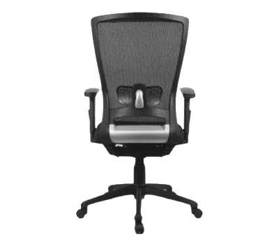 Visitors Chairs
